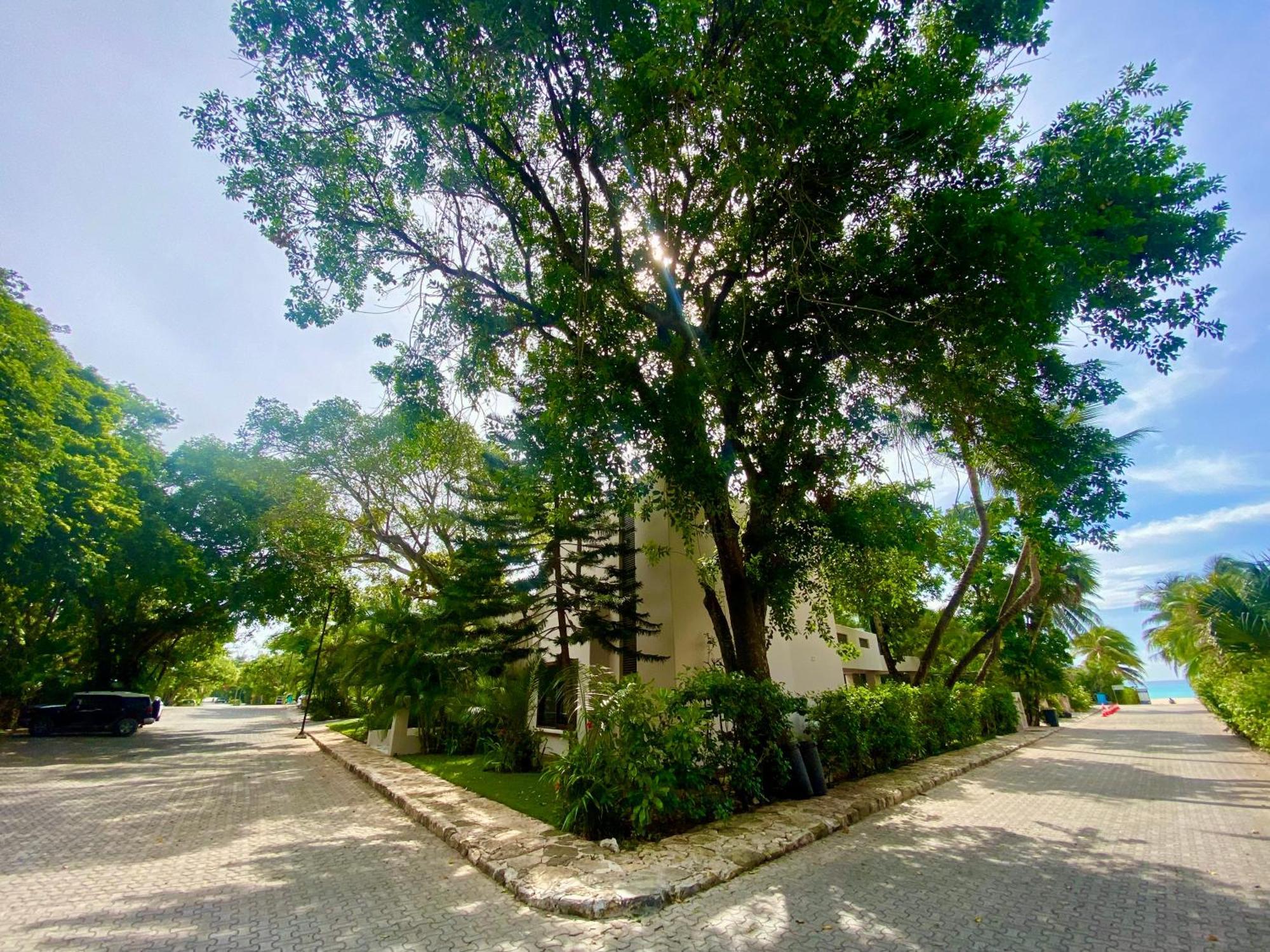 Villa Almendra Playacar 1 Playa del Carmen Extérieur photo